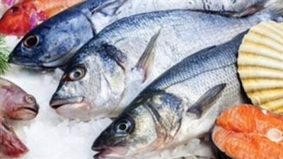 أسعار السمك والجمبري اليوم السبت 18 مايو 2024