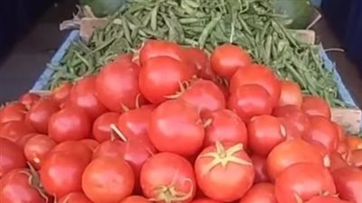  أسعار الخضار اليوم الأحد 19 مايو 2024