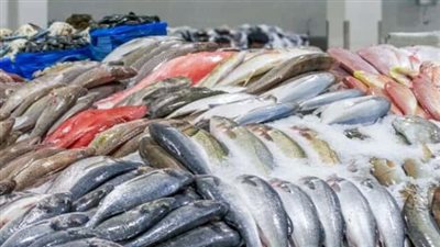 سعر السمك البلطي اليوم 19 مايو 2024 داخل سوق العبور 