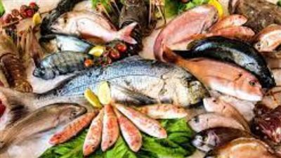 أسعار الأسماك اليوم اليوم الثلاثاء 21 مايو 2024