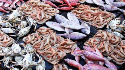 أسعار الأسماك اليوم الأربعاء 22 مايو 2024