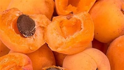 فوائد المشمش.. معجزات ضيف الصيف العزيز 