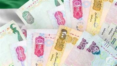 سعر الدرهم الإماراتي مقابل الجنيه المصري اليوم الاثنين 27 مايو 2024