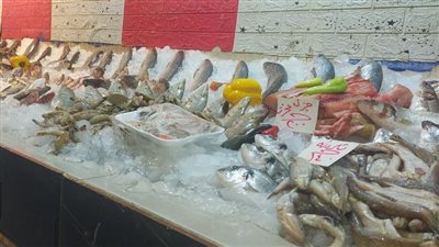 أسعار الأسماك والجمبري اليوم الاثنين 27 مايو 2024