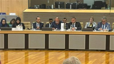 وزير الخارجية يُشارِك في اجتماع وزاري عربي أوروبي لدعم فلسطين