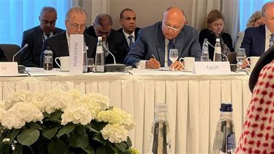 شكري يشارك في الاجتماع الوزاري لتنفيذ حل الدولتين والاعتراف بالدولة الفلسطينية