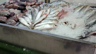  أسعار الأسماك والجمبري اليوم الثلاثاء 28 مايو 2024 داخل سوق العبور Obour market