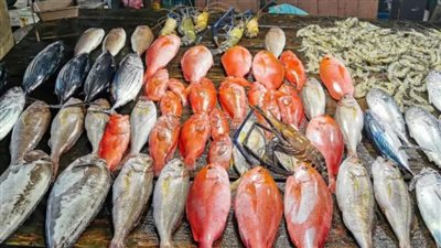 سعر السمك البلطي اليوم الأربعاء 29 مايو 2024