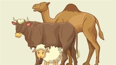 ميعاد عيد الاضحى 2024 بالتاريخ الميلادي.. بدأ العد التنازلي 