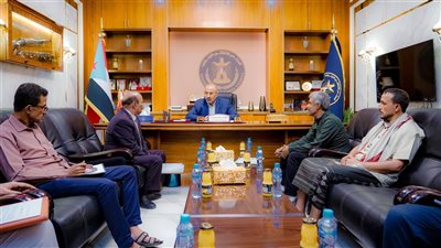 نائب رئيس مجلس القيادة الرئاسي باليمن يطّلع على سير عمل الهيئة التنفيذية لانتقالي شبوة (صور)