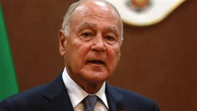 أبو الغيط يؤكد أهمية العلاقات العربية اليابانية