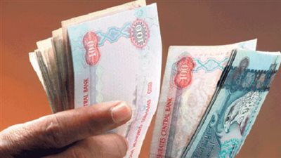 سعر الدرهم الإماراتي مقابل الجنيه المصري اليوم الأحد 2 يونيو 2024