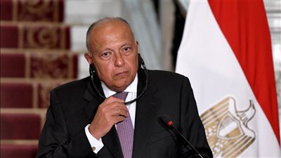 سامح شكري: نتطلع إلى حل القضية الفلسطينية على أساس حل الدولتين