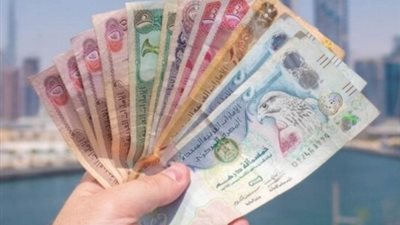 سعر الدرهم الإماراتي مقابل الجنيه المصري اليوم الإثنين 3 يونيو 2024