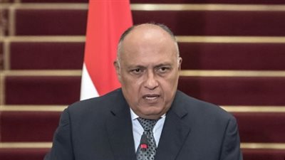 سامح شكري: مصر وقبرص حريصتان على تعزيز العلاقات الثنائية بكافة المجالات