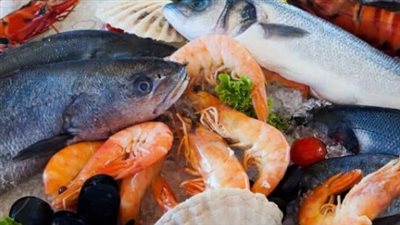  أسعار السمك والجمبري اليوم الأربعاء 5 يونيو 2024