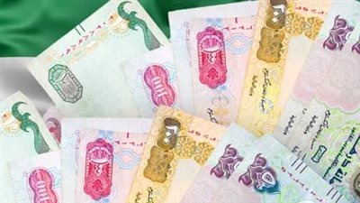 سعر الدرهم الإماراتي مقابل الجنيه المصري اليوم الأربعاء 5 يونيو 2024