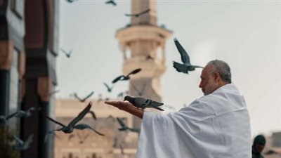 كيفية التسجيل في منصة نسك للحج خطوة بخطوة.. الرابط والتفاصيل