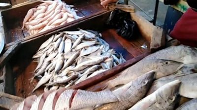  أسعار الأسماك اليوم الإثنين 3 من شهر يونيو 2024