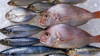  سعر السمك البلطي اليوم 10_ 6_ 2024
