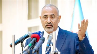  الزُّبيدي: نؤكد موقفنا الثابت في دعم ومساندة التحالف الدولي الهادف لحماية هذه المنطقة الحيوية 