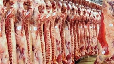 سعر كيلو اللحم البلدي اليوم الثلاثاء 11_ 6_ 2024