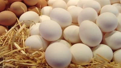  أسعار البيض في الأسواق الآن في مصر.. مفاجأة