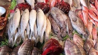  أسعار الأسماك والجمبري اليوم الخميس 13 يونيو 2024