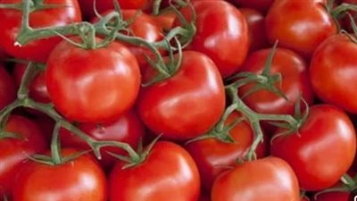 أسعار الخضراوات والفاكهة اليوم الخميس 13 يونيو 2024.. سعر الطماطم من 2.7 إلى 7 جنيهات