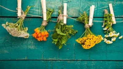 ما هو البديل الطبيعي للمضاد الحيوي؟.. 4 أطعمة من مطبخك لا تحتاج استشارة طبيب