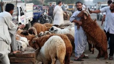 ما هي آخر موعد لذبح الأضاحي؟