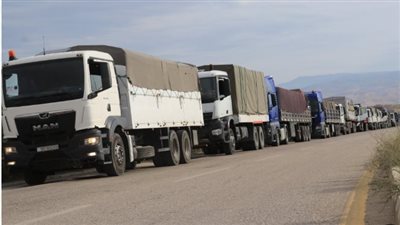 اليوم.. دخول 25 شاحنة مساعدات إلى قطاع غزة