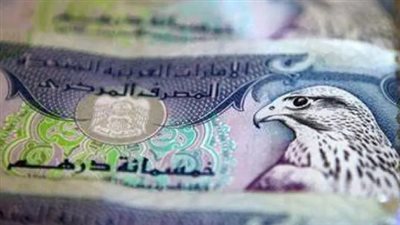 سعر الدرهم الإماراتي مقابل الجنيه المصري اليوم الخميس 20 يونيو 2024