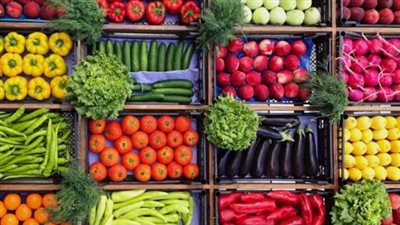  أسعار الخضراوات والفاكهة اليوم السبت 22 يونيو 2024