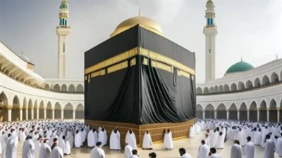 البيانات المطلوبة للإبلاغ عن حالات الاختفاء بين الحجاج