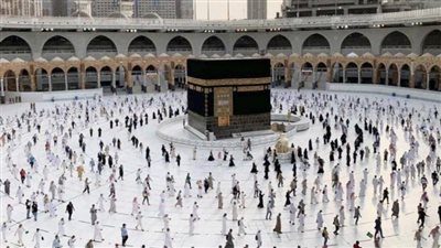 عضو لجنة الحج والعمرة بالغرفة السياحية يكشف عن الشركات المتورطة في النصب على الحجاج