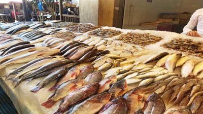  أسعار الأسماك اليوم الأحد 23 يونيو 2024.. البلطي ما بين 63 و67 جنيهًا للكيلو