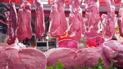أسعار اللحوم اليوم الاثنين 24 يونيو 2024.. عِرق الفلتو البلدي حوالى 420 جنيهًا للكيلو