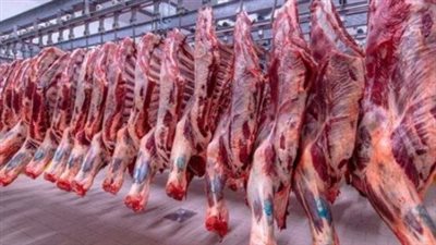 تطورات أسعار اللحوم الحمراء فى الأسواق اليوم الاثنين 24 يونيو 2024