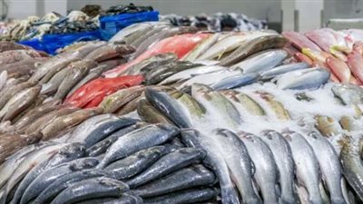  أسعار الأسماك والجمبري اليوم الثلاثاء 25 يونيو 2024