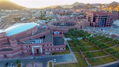 تخصيص 5% من المنح الدراسية بالجامعات الخاصة والأهلية لطلاب (STEM) 