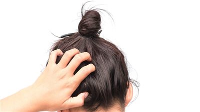 علاج حكة فروة الرأس.. 10 وصفات طبيعية وشامبوهات طبية مقترحة