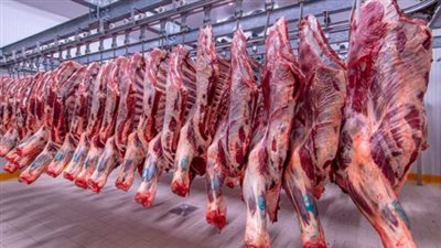  أسعار اللحوم الحمراء في الأسواق اليوم الأربعاء 26 يونيو 2024