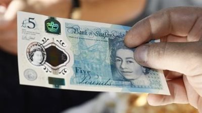 سعر الجنيه الإسترليني في البنك المركزي المصري اليوم 1_ 7_ 2024