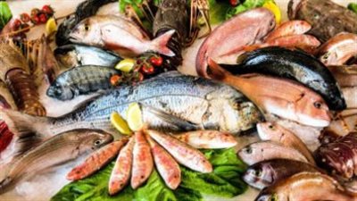 سعر السمك البوري اليوم الثلاثاء 2_ 7_ 2024