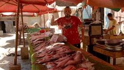  أسعار السمك والجمبري اليوم 3 يوليو 2024