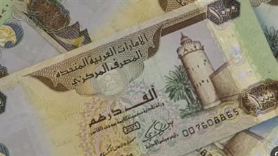سعر الدرهم الإماراتي مقابل الجنيه المصري اليوم 4_ 7_ 2024