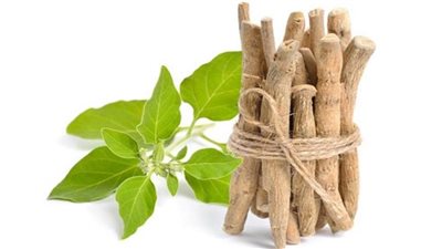 فوائد الاشواجندا.. تزيد خصوبة الرجال