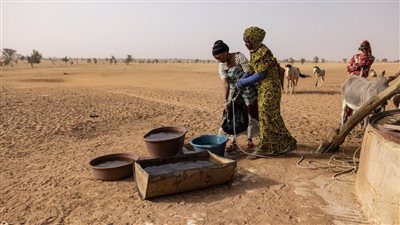77 مليون شخص بشرق إفريقيا يعانون من انعدام الأمن الغذائي الحاد