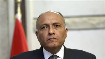 وزير الخارجية: أى حل سياسى حقيقى فى السودان يجب أن يستند لرؤية سودانية خالصة